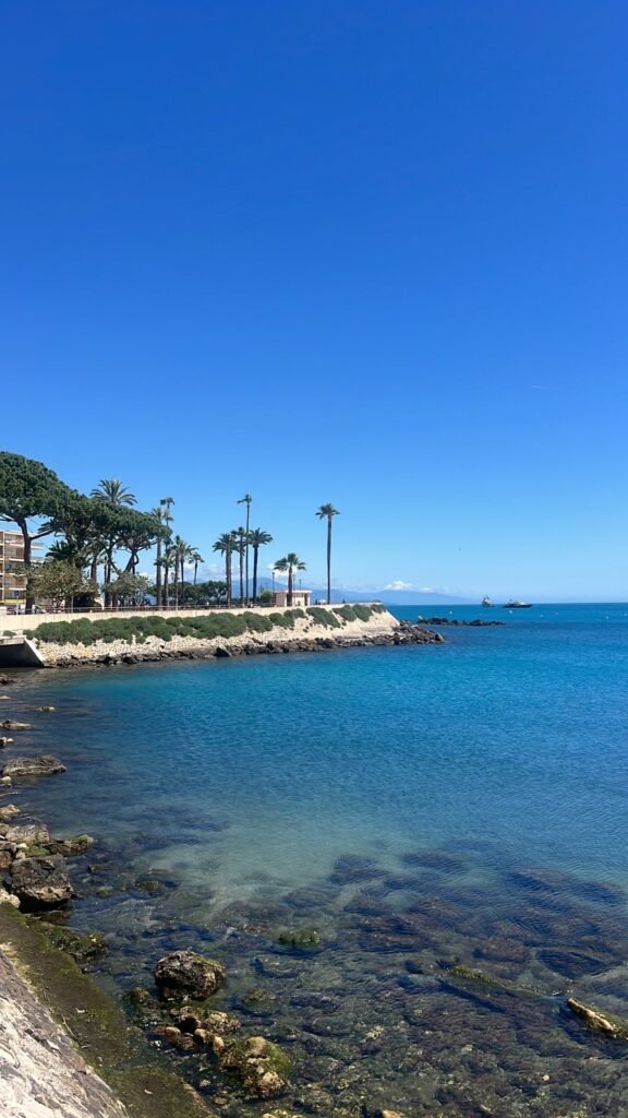 Bord de mer et palmiers à la Salis